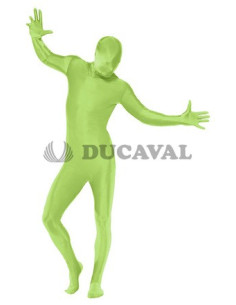 Disfraz de Piel verde