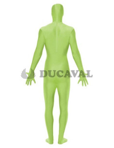 Disfraz de Piel verde