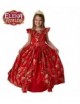 Disfraz de Elena de Avalor Premium