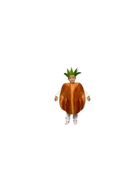 Disfraz de Piña