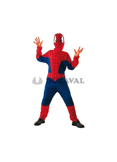 Disfraz de Spider Héroe