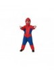 Disfraz de Spiderhéroe