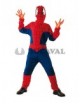 Disfraz de Spider Héroe