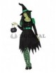 Disfraz de Bruja verde