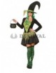 Disfraz de Bruja verde