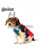 Disfraz Thor mascota