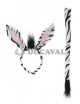 Conjunto cebra