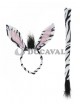 Conjunto cebra