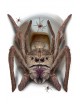 Impresionante decoración de tapa de váter de araña para Halloween