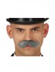 Bigote gris. | Ducaval | Envios en 24/48 horas.