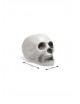 Calavera 13x16cm | Ducaval | Envías 24/48 horas 