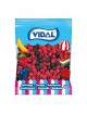Moras de zarza Vidal 250 uds | Ducaval | Envios 24/48 horas.
