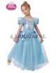 Disfraz de Cenicienta Premium