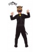 Disfraz de Cat Noir