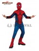 Disfraz de Spiderman HC Classic