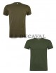 Camiseta premium adulto pistacho