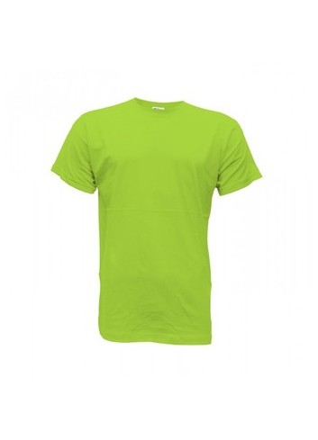 Camiseta premium adulto pistacho