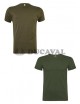 Camiseta premium adulto pistacho