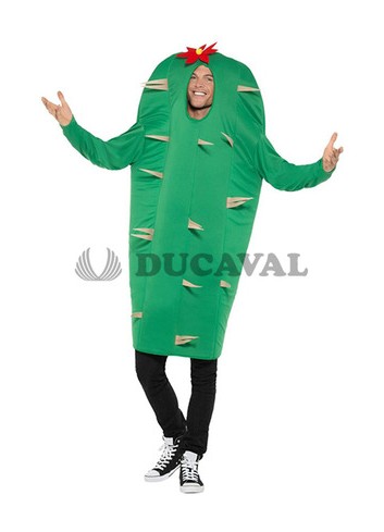 Disfraz de Cactus - Disfraces Ducaval