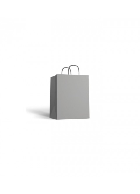  Bolsa papel c/ asa plata 32x40 | Ducaval | Envíos 24/48 horas