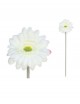Vara gerbera micro blanco | Ducaval | Envías 24/48 horas 