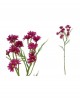 Vara margaritas 49cm violetas | Ducaval | Envías 24/48 horas 