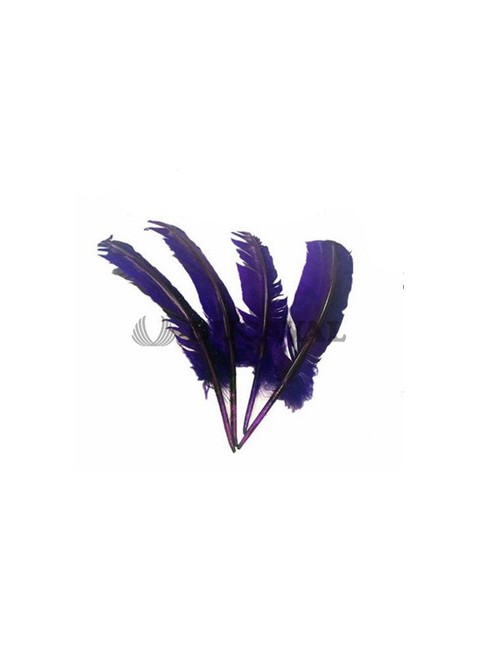 Plumas duro moradas 25cm