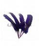 Plumas duro moradas 25cm