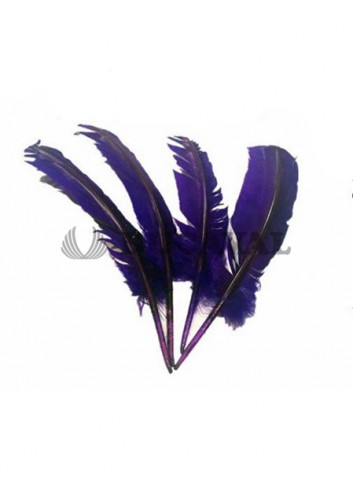 Plumas duro moradas 25cm