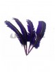 Plumas duro moradas 25cm