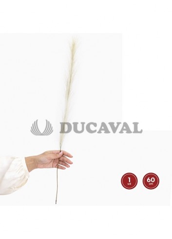 Flor seca pampa rosa o blanco 60cm 1 unidad