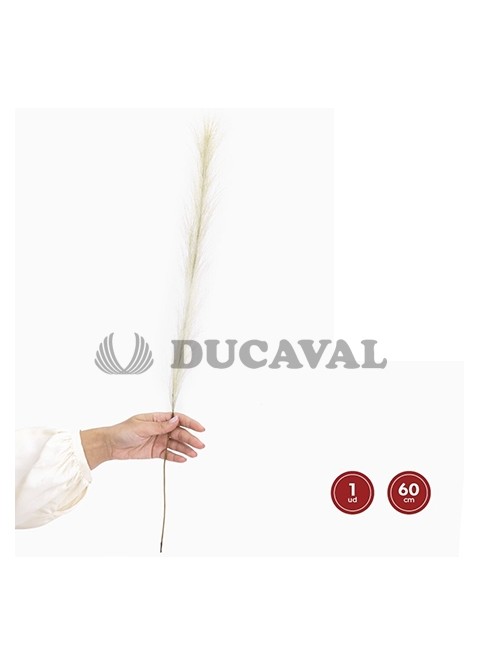 Flor seca pampa rosa o blanco 60cm 1 unidad