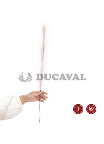 Flor seca pampa rosa o blanco 60cm 1 unidad