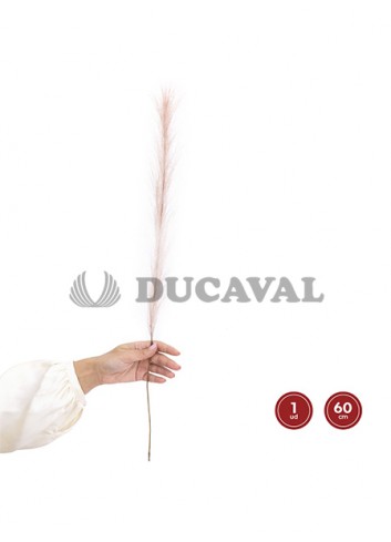 Flor seca pampa rosa o blanco 60cm 1 unidad