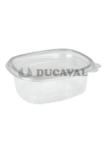 Envase rectangular con bisagra micro 1000c - Disfraces Ducaval. Envios 24-48 horas