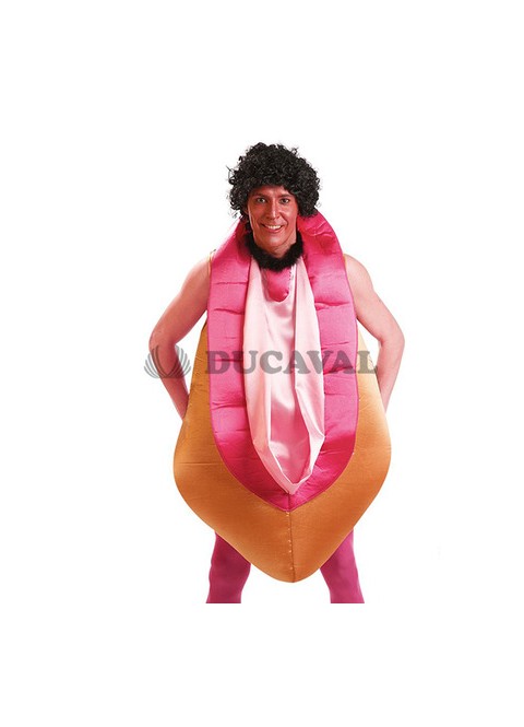 Disfraz de Chochín