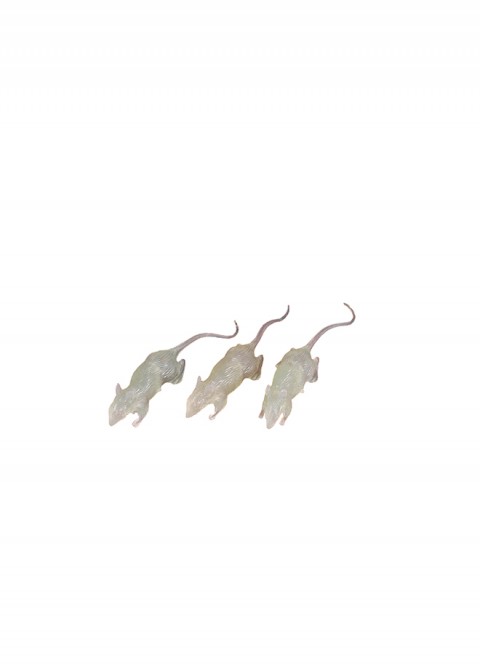Ratas glow in dark 7cm (3ud) | Ducaval | Envíos 24/48 horas