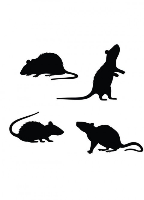 Siluetas ratas adhesivas | Ducaval | Envíos 24/48 horas