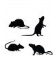 Siluetas ratas adhesivas | Ducaval | Envíos 24/48 horas