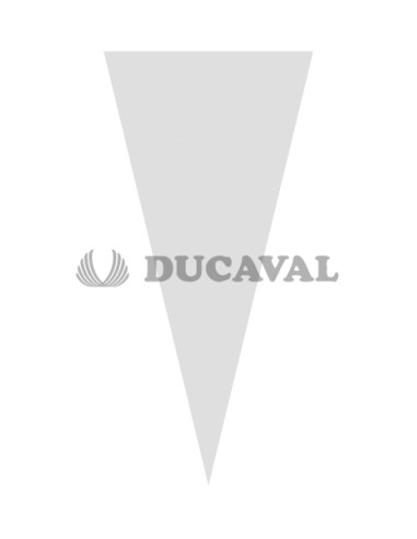 Bolsa cono 30x60 cristal transparente 100ud