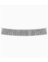 Guirnalda flecos plateados 20x150 cm 1 und | Ducaval | Envías 24/48 h