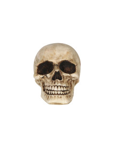 Calavera resina 8cm | Ducaval | Envíos 24/48 horas