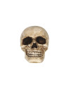 Calavera resina 8cm | Ducaval | Envíos 24/48 horas
