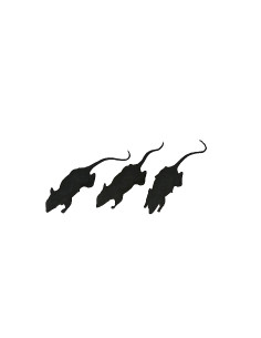Ratas 6cm (3ud) | Ducaval | Envíos 24/48 horas