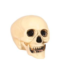 Calavera 20 cms  | Ducaval | Envías 24/48 horas 
