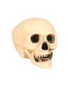 Calavera 20 cms  | Ducaval | Envías 24/48 horas 