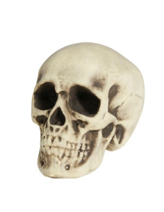 Calavera gigante de foam  | Ducaval | Envías 24/48 horas 