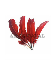 Plumas duro rojas 25cm | Ducaval | Envíos 24/48 horas
