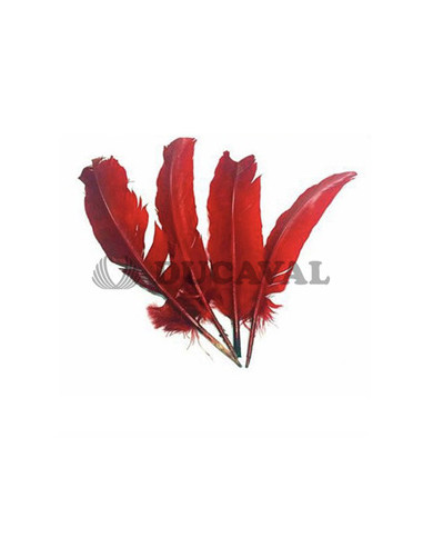 Plumas duro rojas 25cm | Ducaval | Envíos 24/48 horas