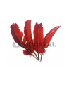 Plumas duro rojas 25cm | Ducaval | Envíos 24/48 horas